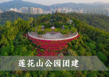 深圳福田莲花山公园公司团建活动