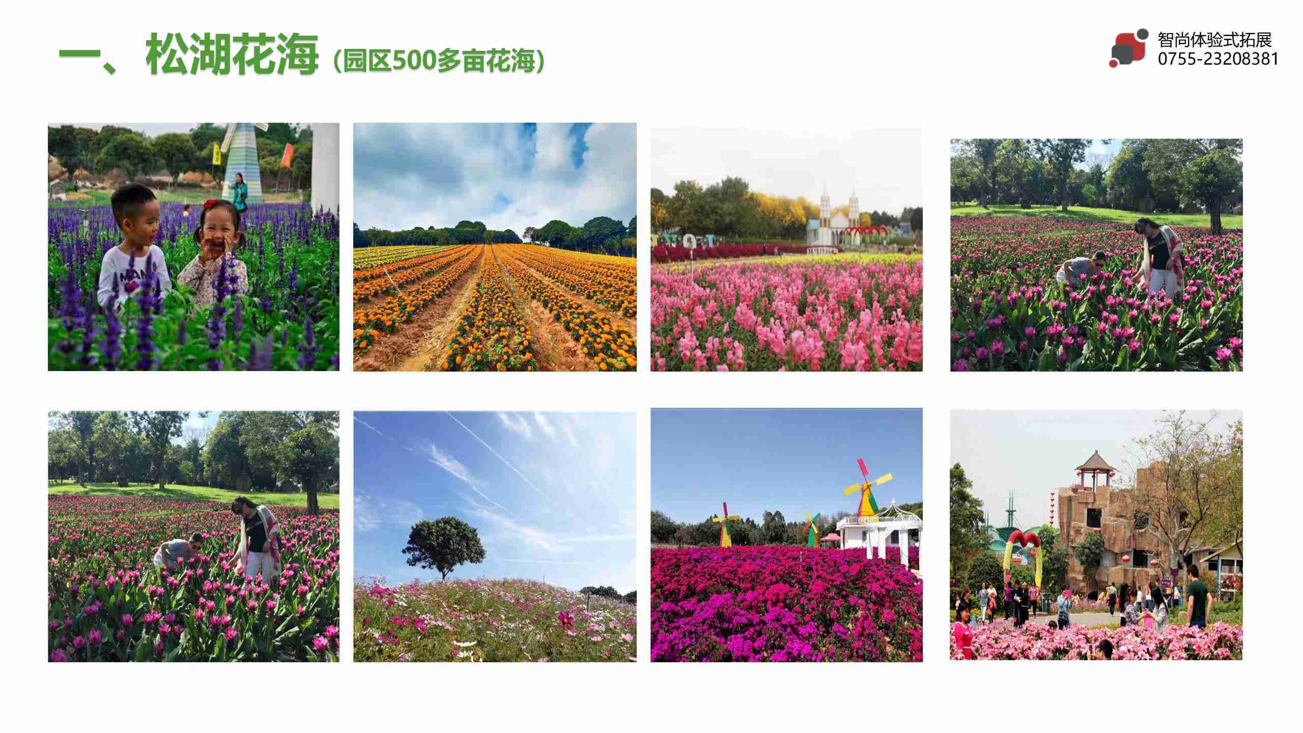 东莞松山湖拓展训练基地--深圳智尚户外拓展培训公司
